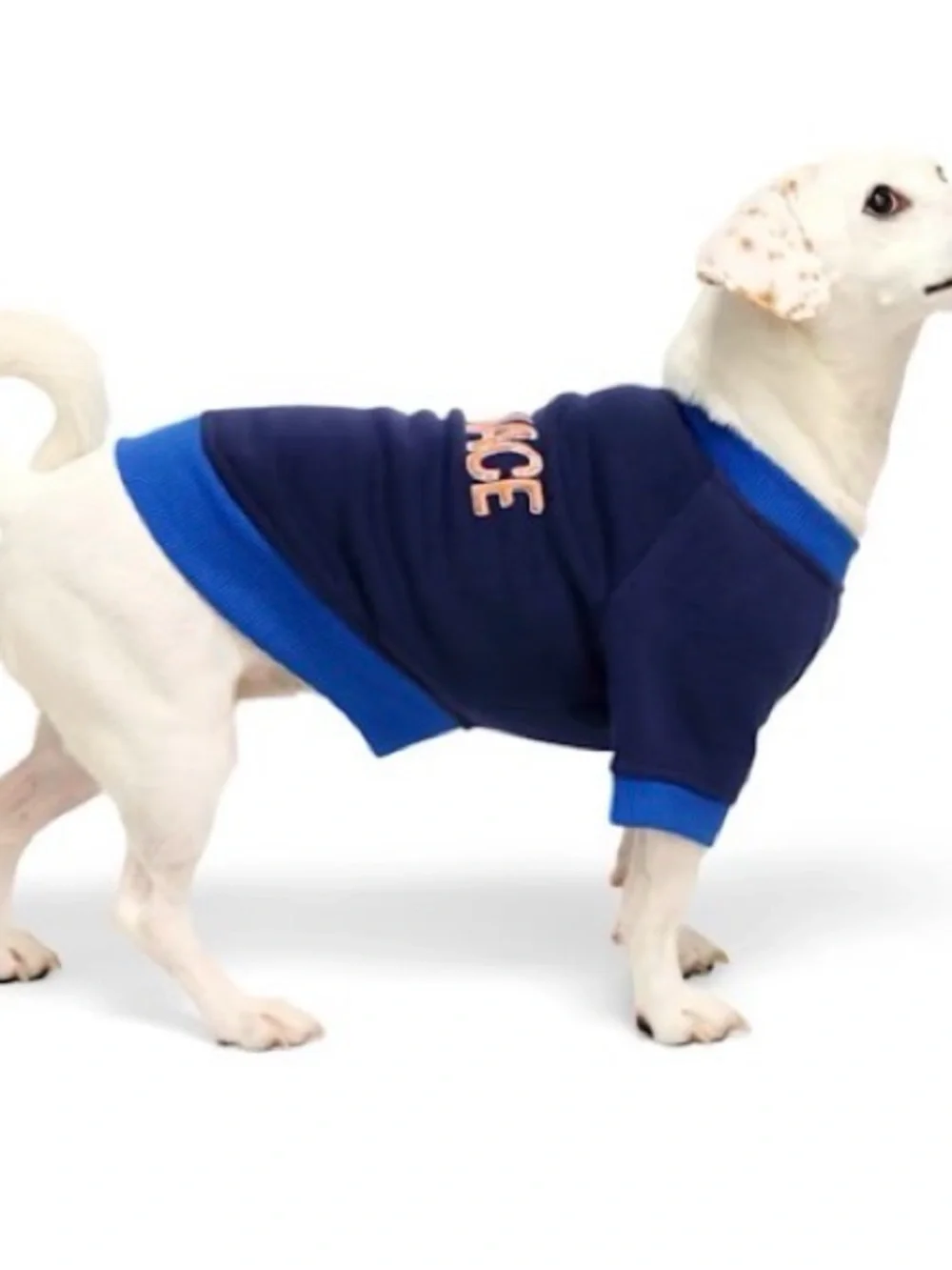 Youly The Maverick Crewneck Sweatshirt - Navy Blue 